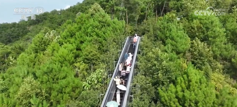 夏日文旅消费“热”力四射 新顶流、新项目、新风尚勾勒经济活力